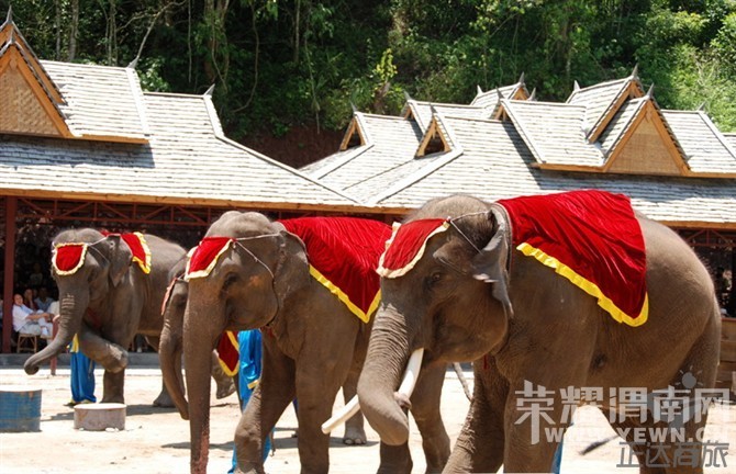 �߲�����  ������������ ʯ�� ���� ���� ��˫����10����