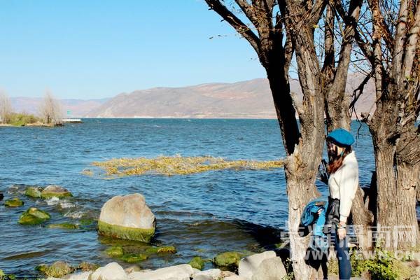 �߲�����  ������������ ʯ�� ���� ���� ��˫����10����