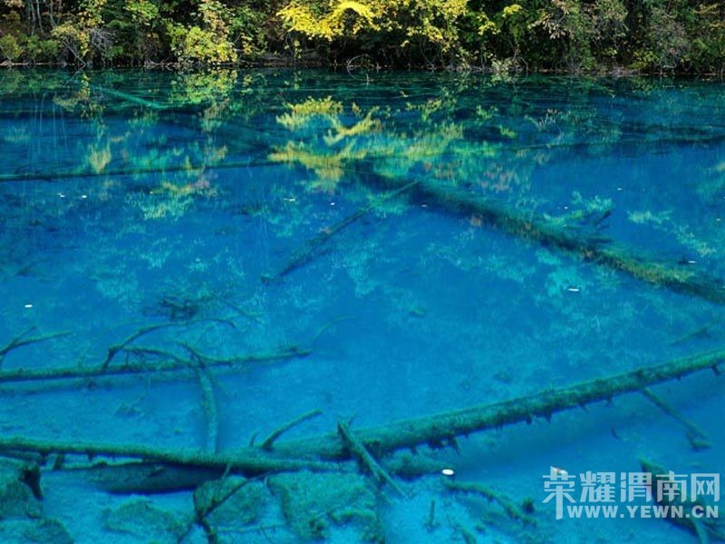 ��μ���߲ʻ��⡿9.24/27�գ�ÿ���ģ�ͯ���ɾ���կ����������Ĳ�ṵ����ľ����������