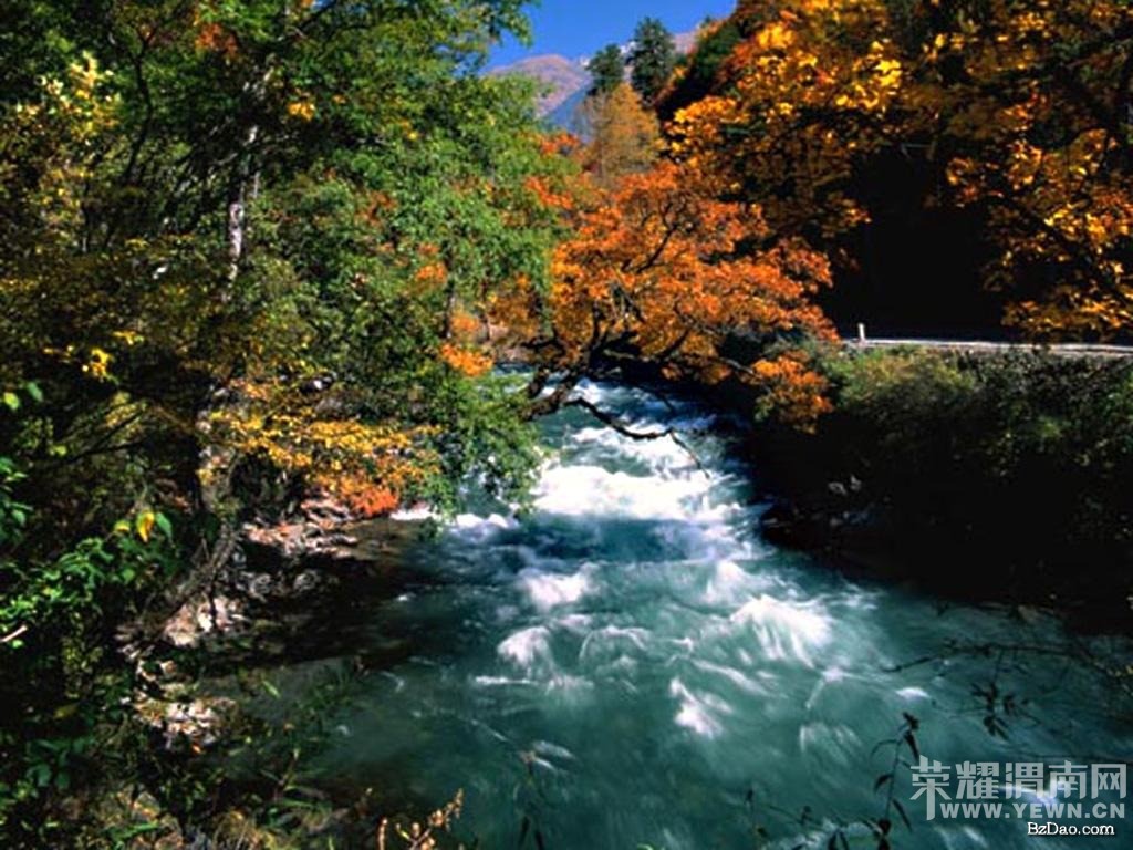 ��μ���߲ʻ��⡿9.24/27�գ�ÿ���ģ�ͯ���ɾ���կ����������Ĳ�ṵ����ľ����������