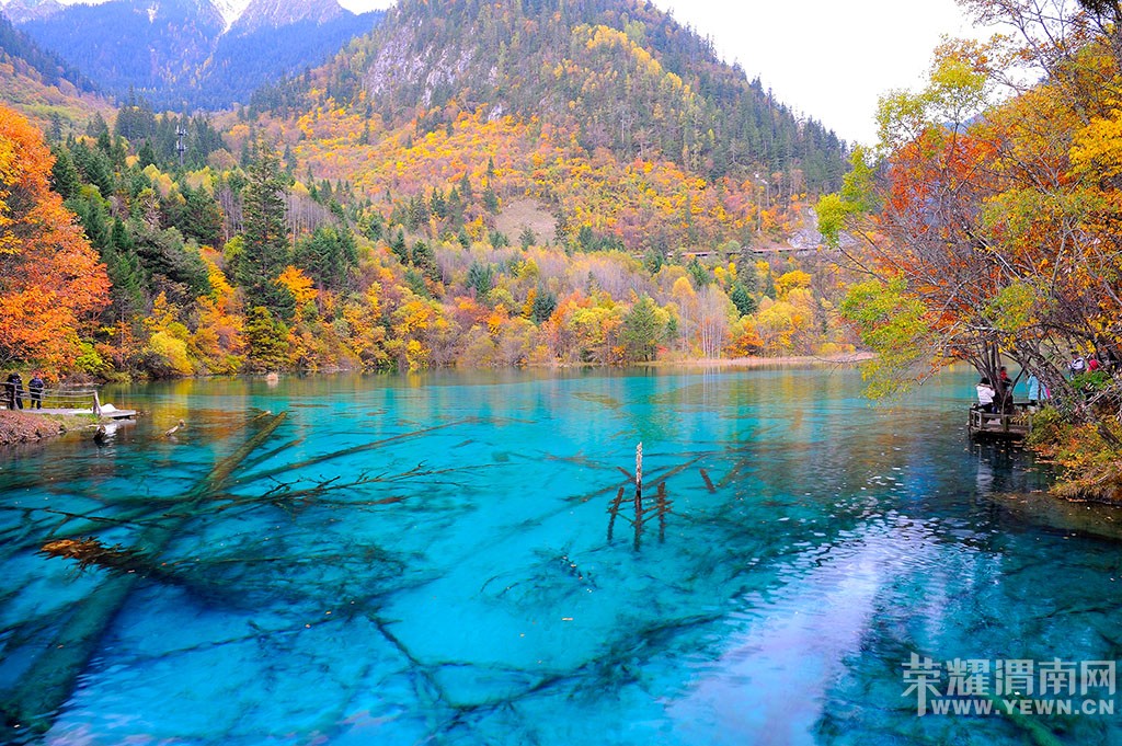 ��μ���߲ʻ��⡿9.24/27�գ�ÿ���ģ�ͯ���ɾ���կ����������Ĳ�ṵ����ľ����������