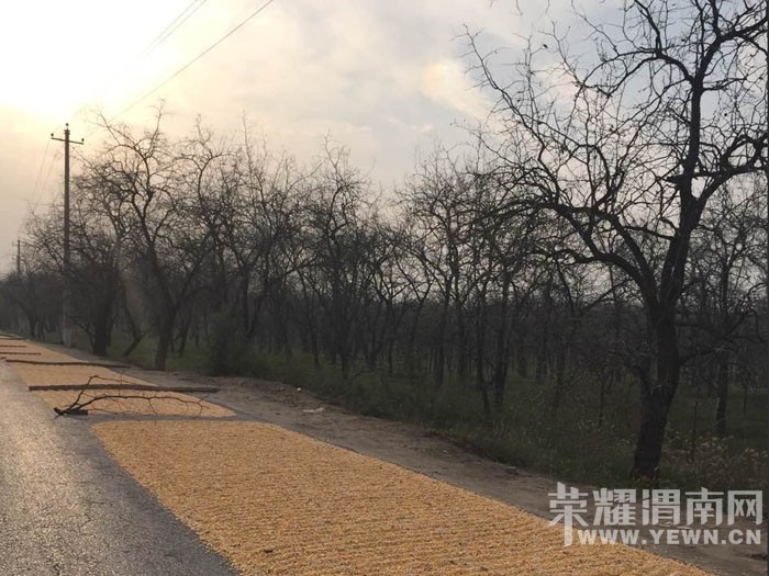 ��μ��ɹ���ȵ�ªϰ�ĸİ� ����·��������̫Σ���ˣ�