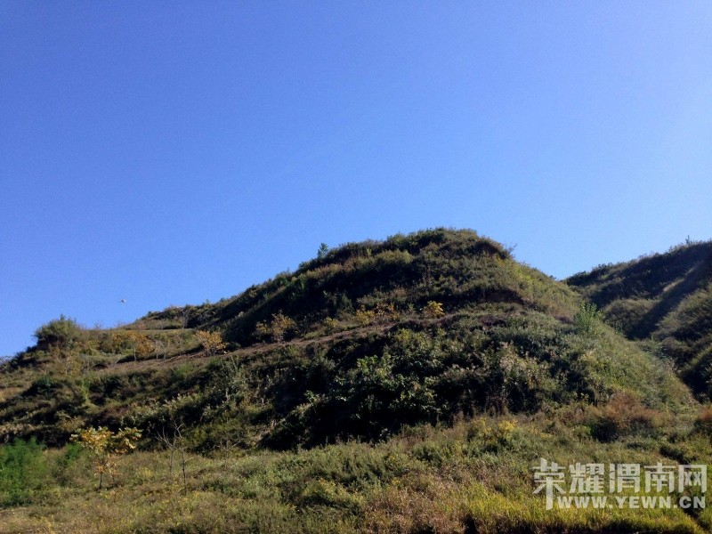 ����μ�ϵ���ɽ����