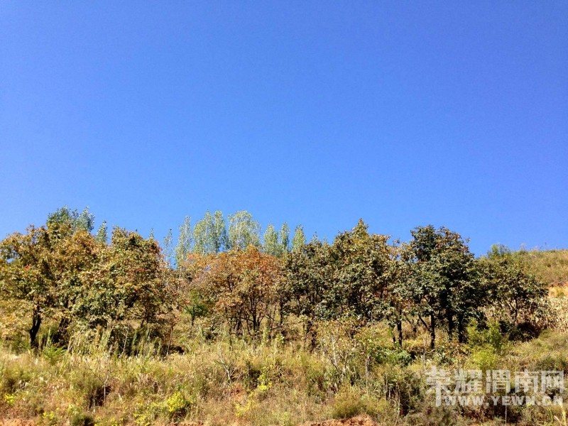 ����μ�ϵ���ɽ����