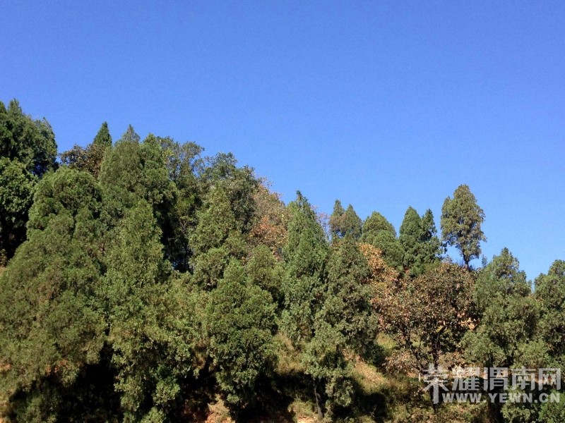 ����μ�ϵ���ɽ����