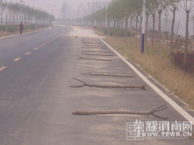 ����ʯ�̺Ӹ�������Ϊɹ��������۶�����ռ����