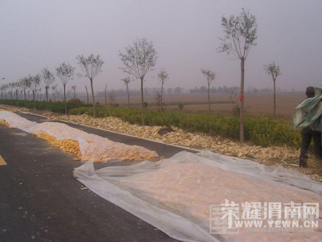 ����ʯ�̺Ӹ�������Ϊɹ��������۶�����ռ����