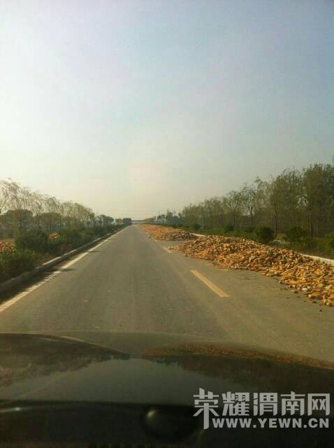 ���չ���μ�Ӵ��ɹ��������Ƶ��������·�汻ռȥ��룡