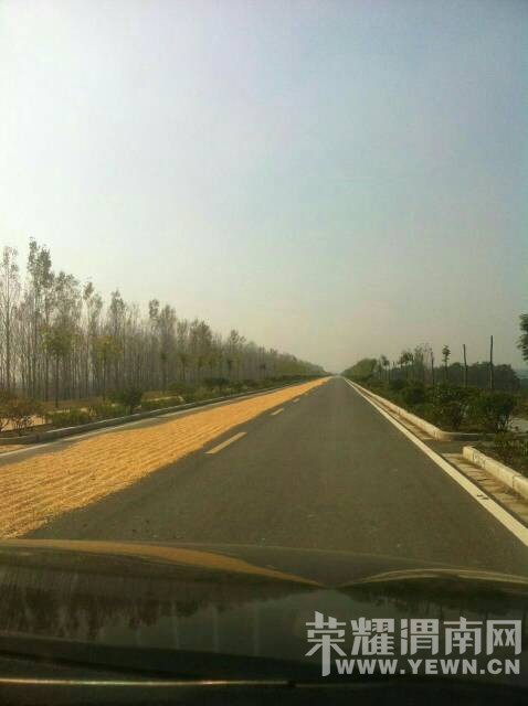 ���չ���μ�Ӵ��ɹ��������Ƶ��������·�汻ռȥ��룡