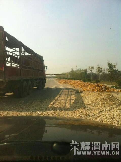 ���չ���μ�Ӵ��ɹ��������Ƶ��������·�汻ռȥ��룡