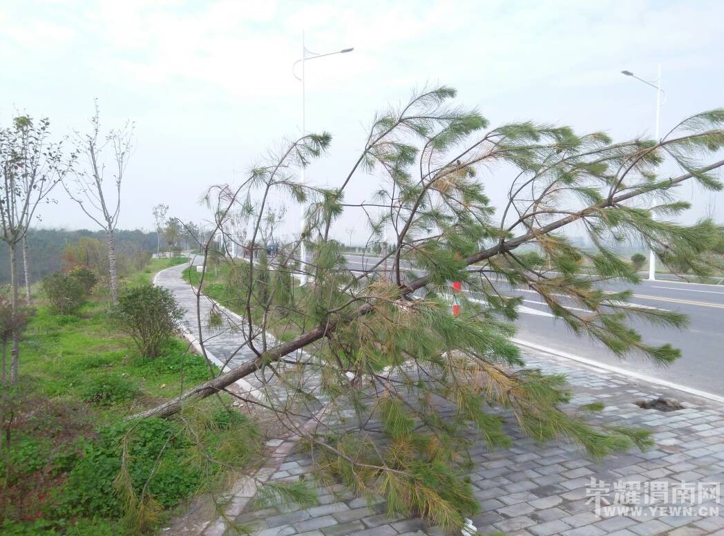 μ�ӵ��ϵĺܶ��������ˣ����˹��𣿲��ܾ�ʵ��̫��ϧ�ˣ�