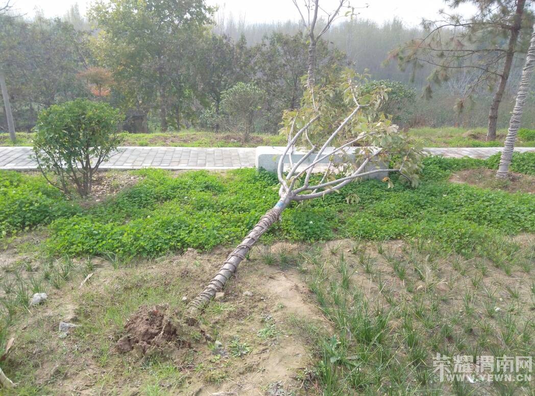 μ�ӵ��ϵĺܶ��������ˣ����˹��𣿲��ܾ�ʵ��̫��ϧ�ˣ�