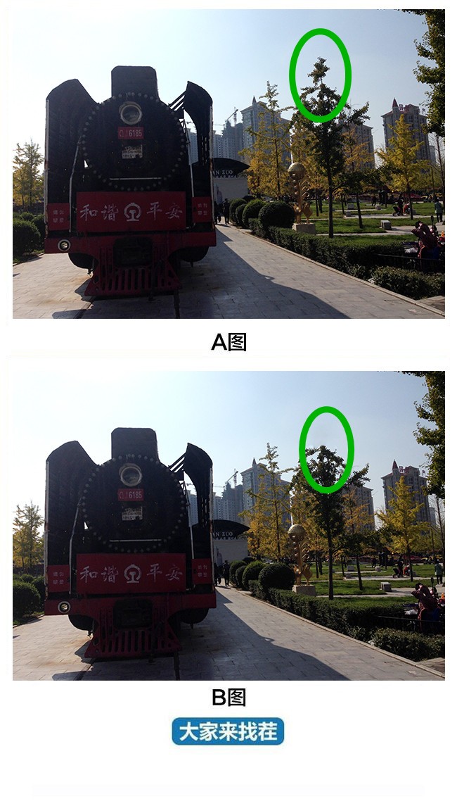 ��������Ҳ�-��14�ڡ�������԰�Ĵ���������������ﲻͬ��