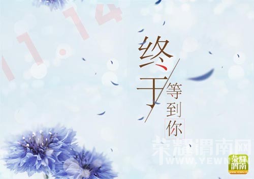 11��14����ҫμ����&���㳡��������ſԲ��������