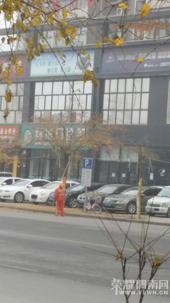 �����ڴ���Ͽ���һ����������Ҷ���´򣬲�֪������������