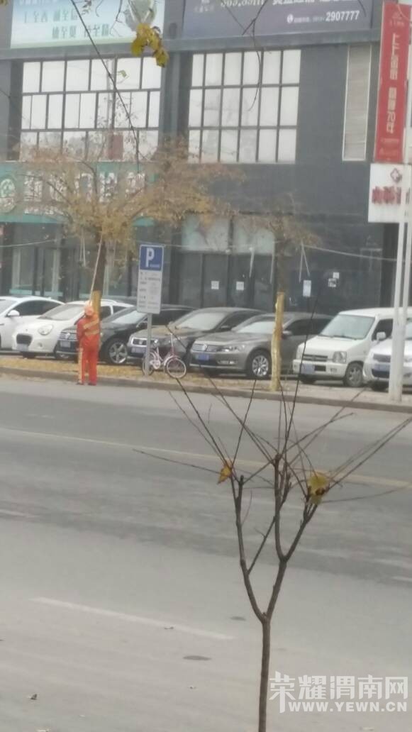 �����ڴ���Ͽ���һ����������Ҷ���´򣬲�֪������������