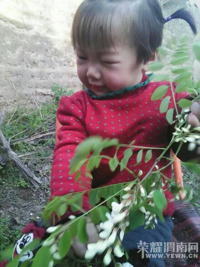 114156ziye2v82fyeii9ho.jpeg