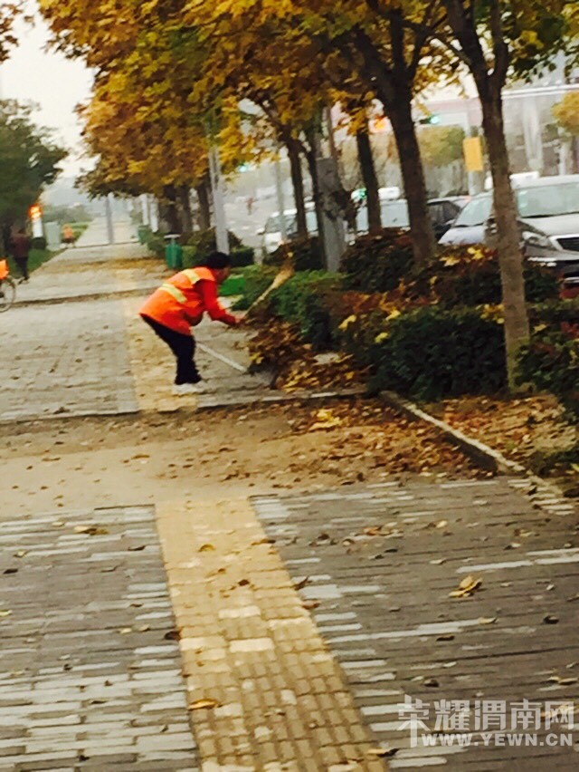 ��������������ſڣ�����һ�����������£���ҿ���������