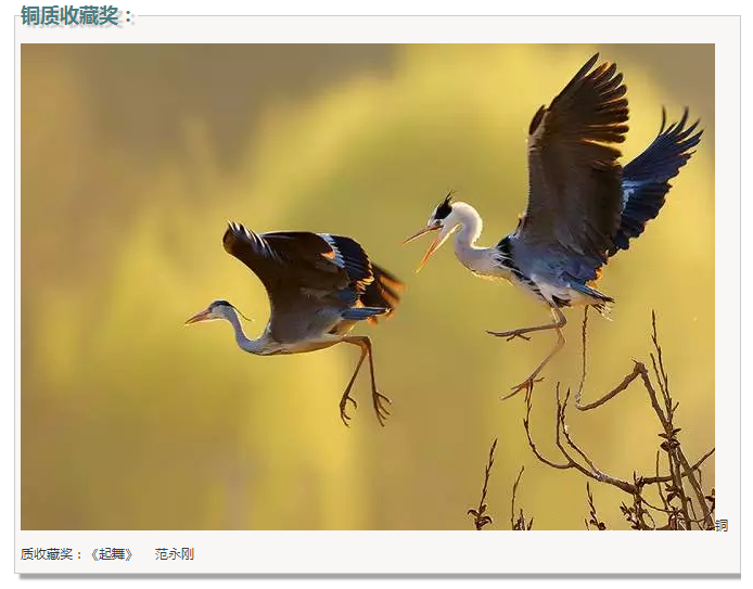 ��Ӱչ������������μ�ϡ���̬���ξ���ȫ����Ӱ����չ�߰佱����