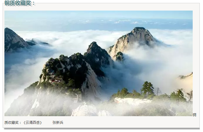 ��Ӱչ������������μ�ϡ���̬���ξ���ȫ����Ӱ����չ�߰佱����