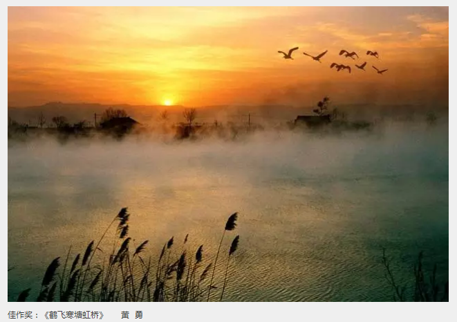 ��Ӱչ������������μ�ϡ���̬���ξ���ȫ����Ӱ����չ�߰佱����