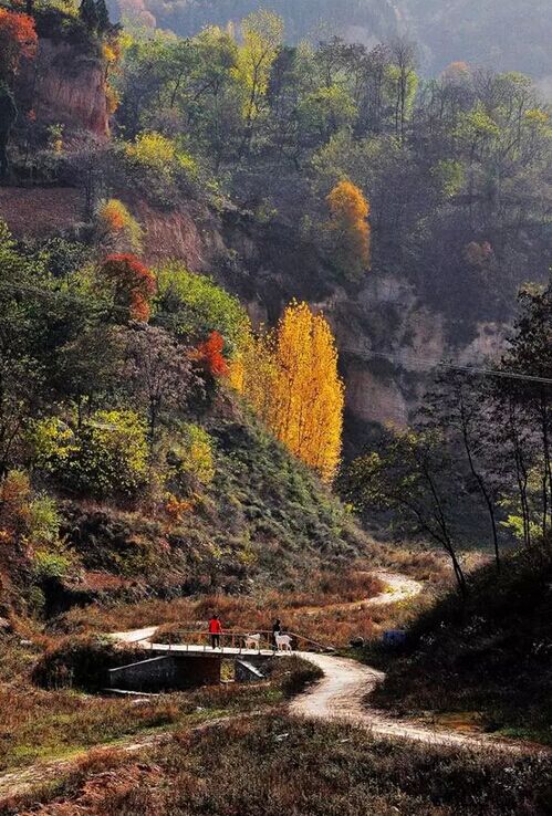 ��Ӱչ������������μ�ϡ���̬���ξ���ȫ����Ӱ����չ�߰佱����