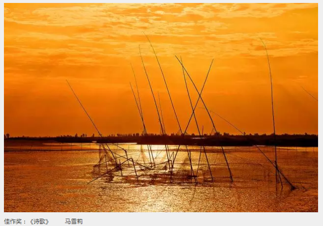 ��Ӱչ������������μ�ϡ���̬���ξ���ȫ����Ӱ����չ�߰佱����