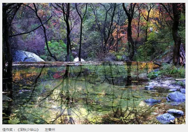 ��Ӱչ������������μ�ϡ���̬���ξ���ȫ����Ӱ����չ�߰佱����