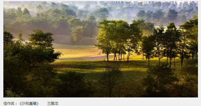 ��Ӱչ������������μ�ϡ���̬���ξ���ȫ����Ӱ����չ�߰佱����