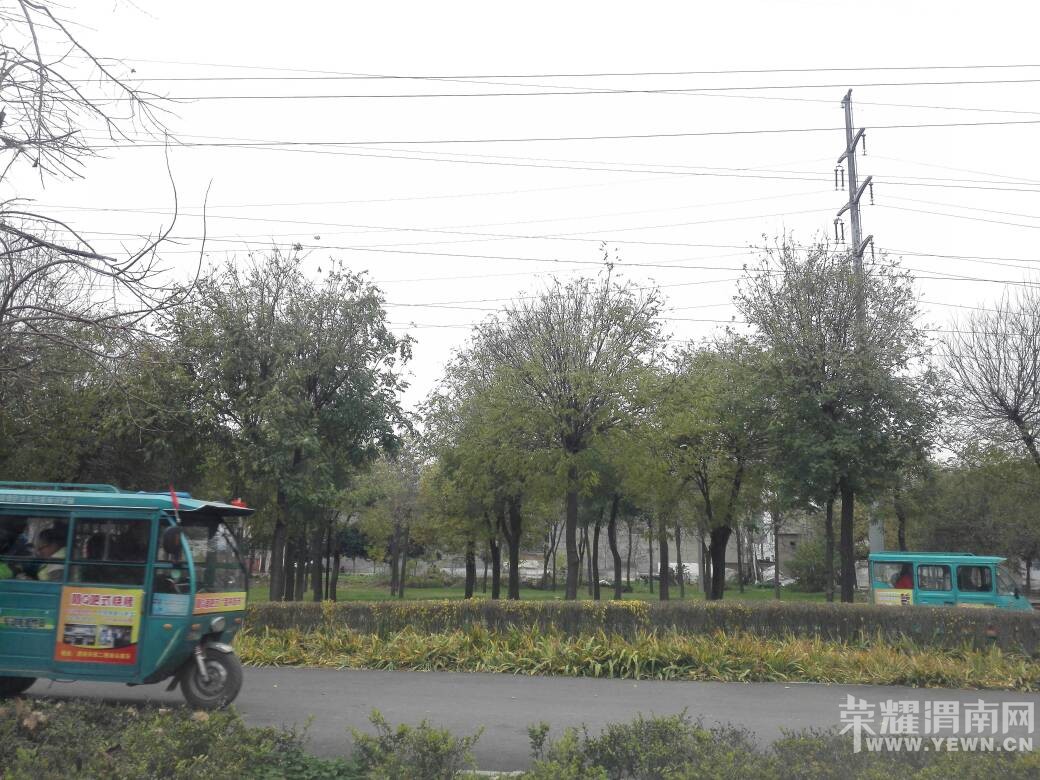 μ�幫԰�������֣�����ô�����ֳ��ڸ����£�û�˹���