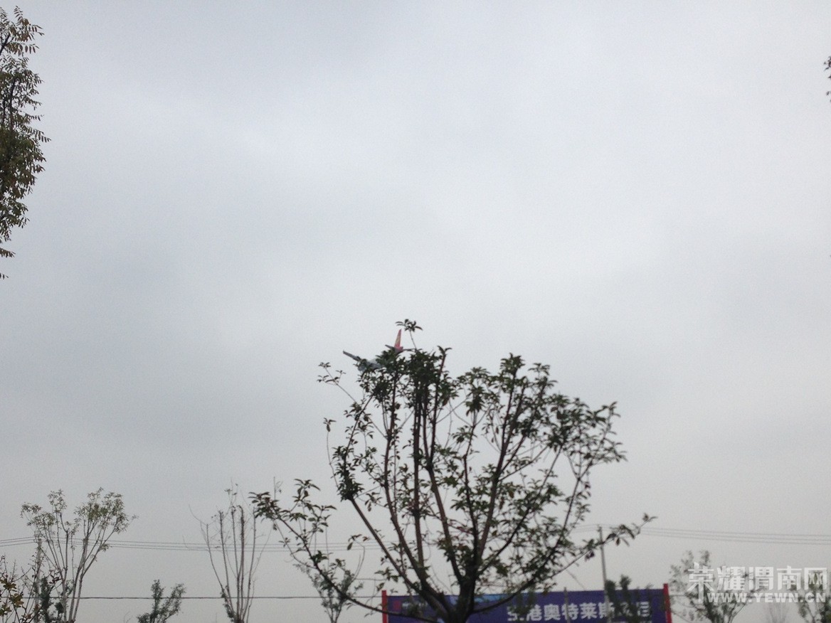 ���죬�ҿ����˺ö��ʼ�����Щ�������������