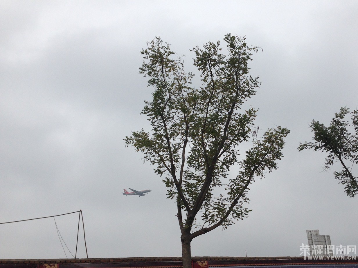 ���죬�ҿ����˺ö��ʼ�����Щ�������������