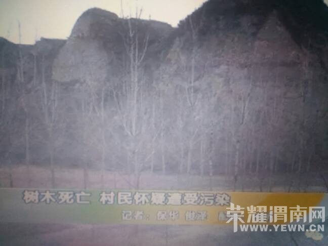 �������а��γǻĹ���ֲ��ľ���� ������������Ⱦ