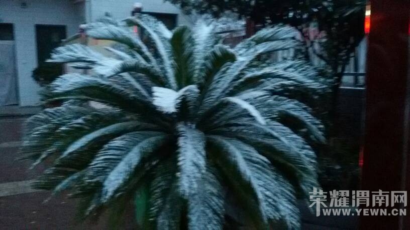 2015���һ��ѩ����������ֵ�����ͣ�