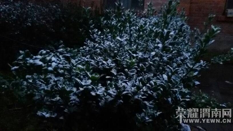 2015���һ��ѩ����������ֵ�����ͣ�