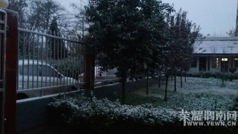 2015���һ��ѩ����������ֵ�����ͣ�