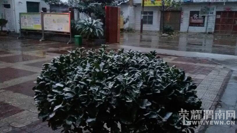 2015���һ��ѩ����������ֵ�����ͣ�