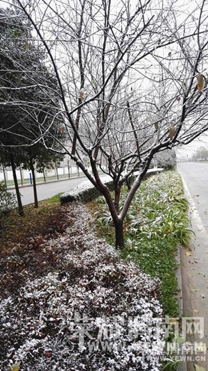 �����⡿2015���һ��ѩ��С��������������еģ��������Ŷ��