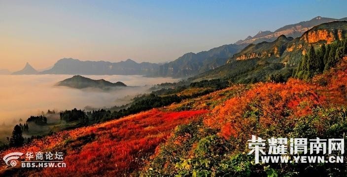 渭南火凤凰旅行社有限公司12月26-29日魅力重