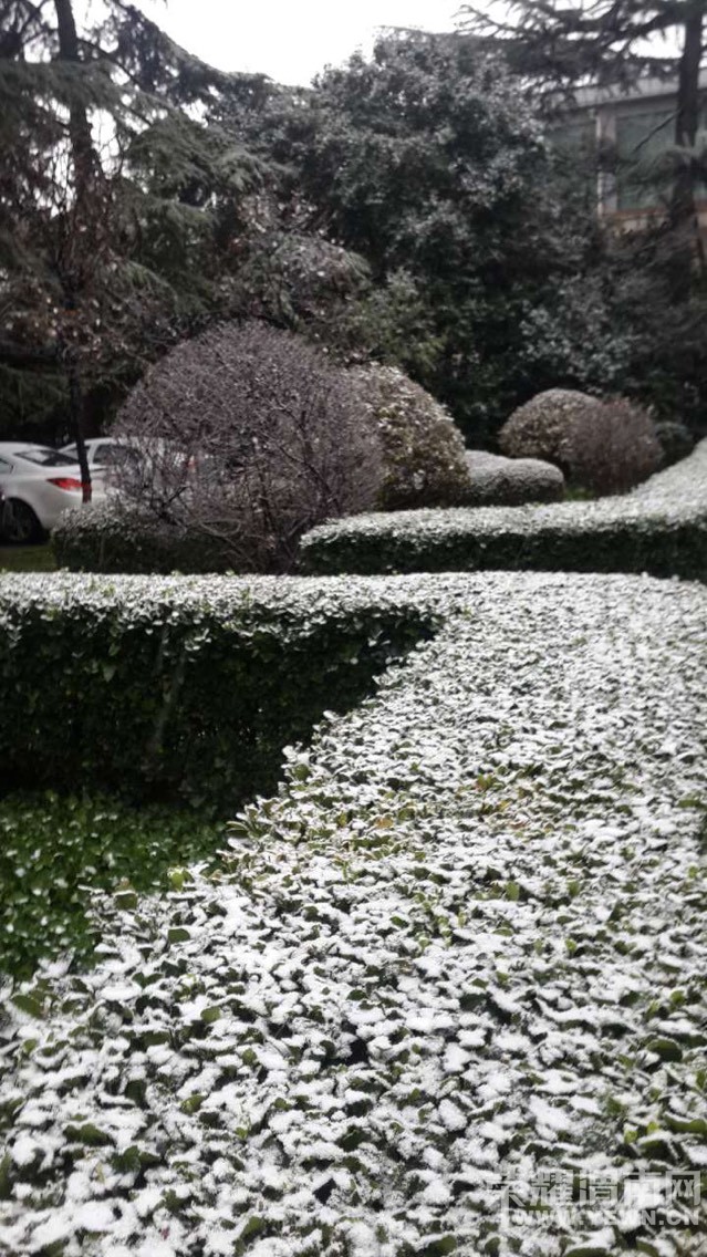 �������ããһƬ���������������������˼�