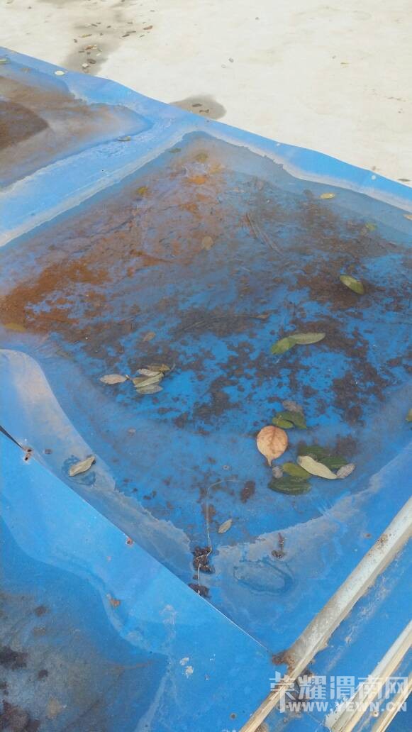 ������Ŷ��������ֵ��Ϸŵ���Ƥ�˽��˱�������һ���ӱ����ˡ�