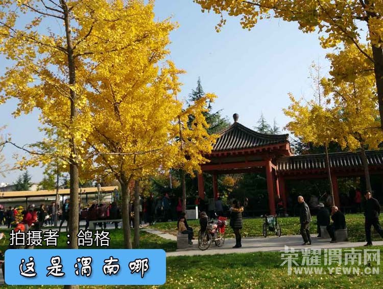 ������μ����-206�ڡ������������գ����鲻����������ͷ��ˣ�