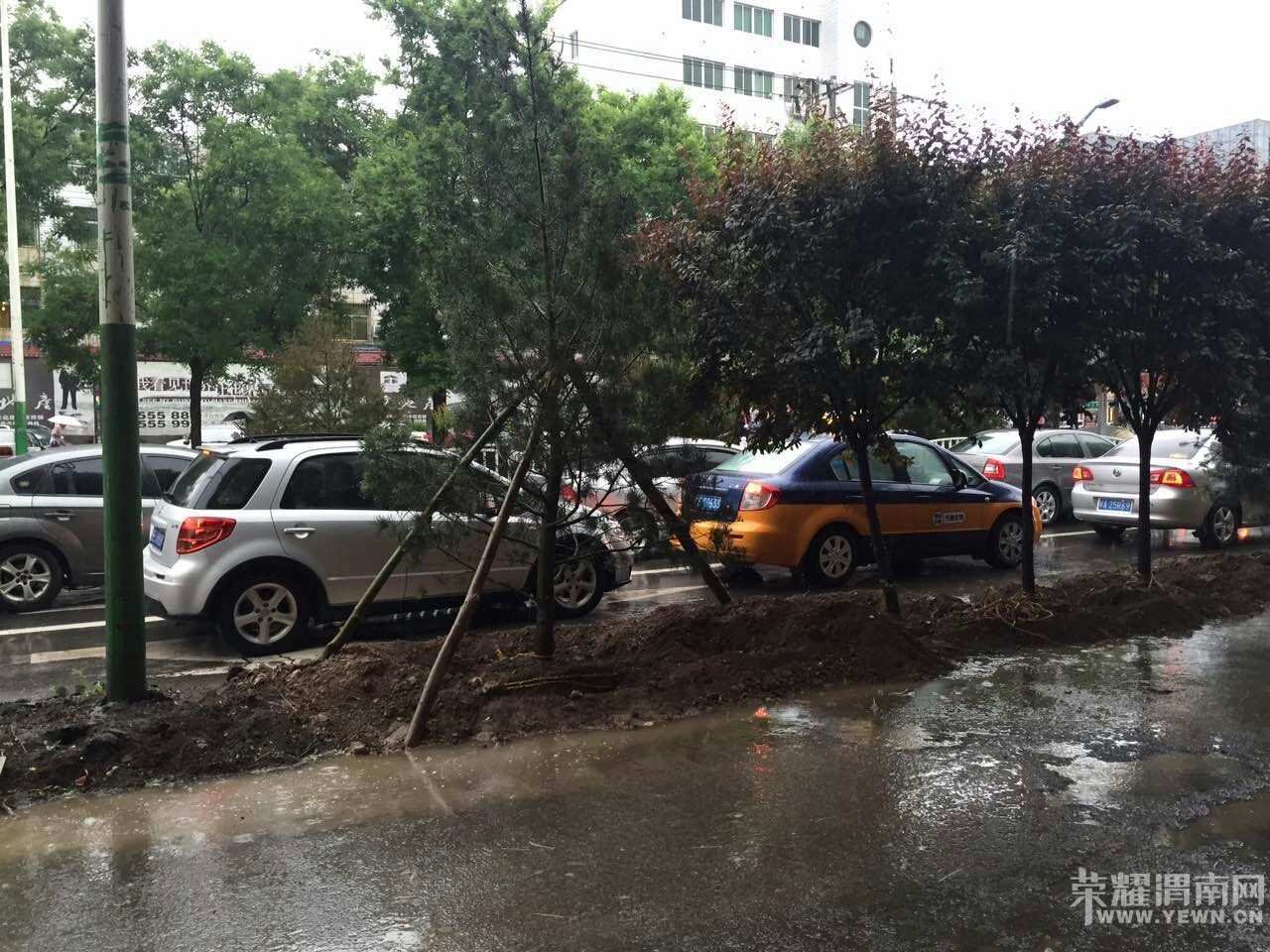 ������μ����-20�ڡ����������ͼ���ѣ�˭����ս���ޣ�