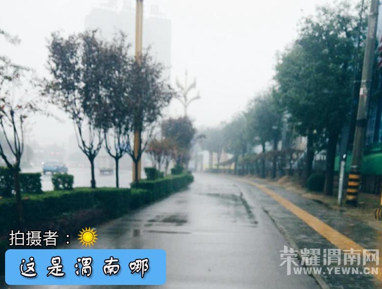 ������μ����-210�ڡ�����Ĵ�����������ʤ�������찡��