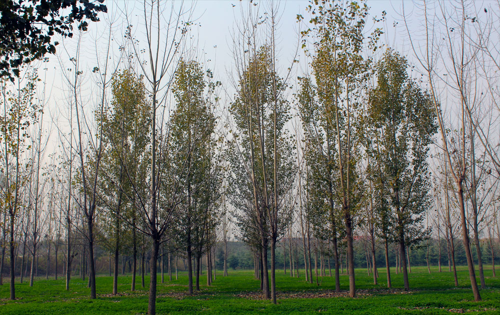 ��������������