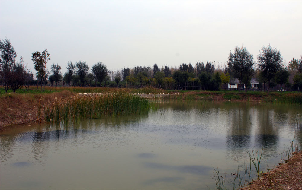 ��������������