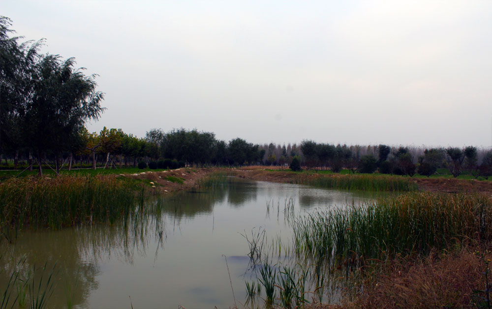 ��������������