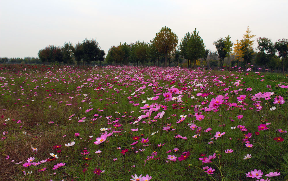 ��������������