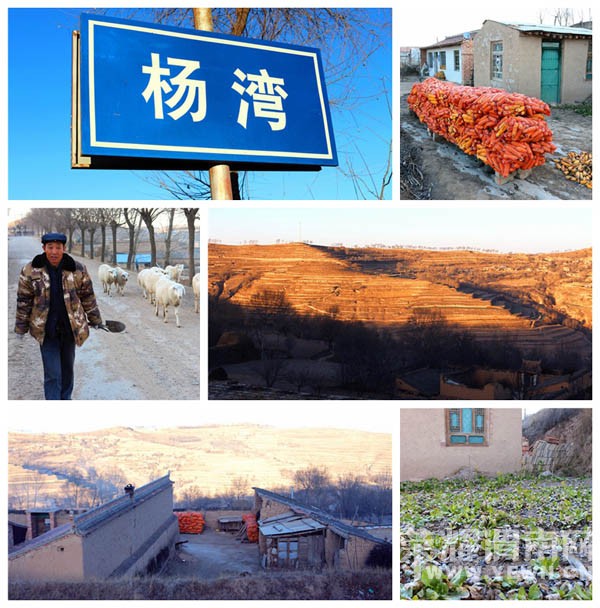 ��ů��2015���������������Сѧ�����������͹����л�عˣ�ͼ/�ģ�