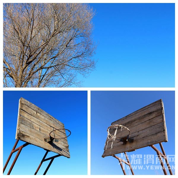 ��ů��2015���������������Сѧ�����������͹����л�عˣ�ͼ/�ģ�